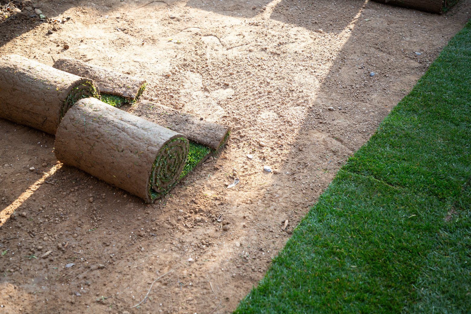 oll of green grass turf in back yard. Gardening concept, green lawn
