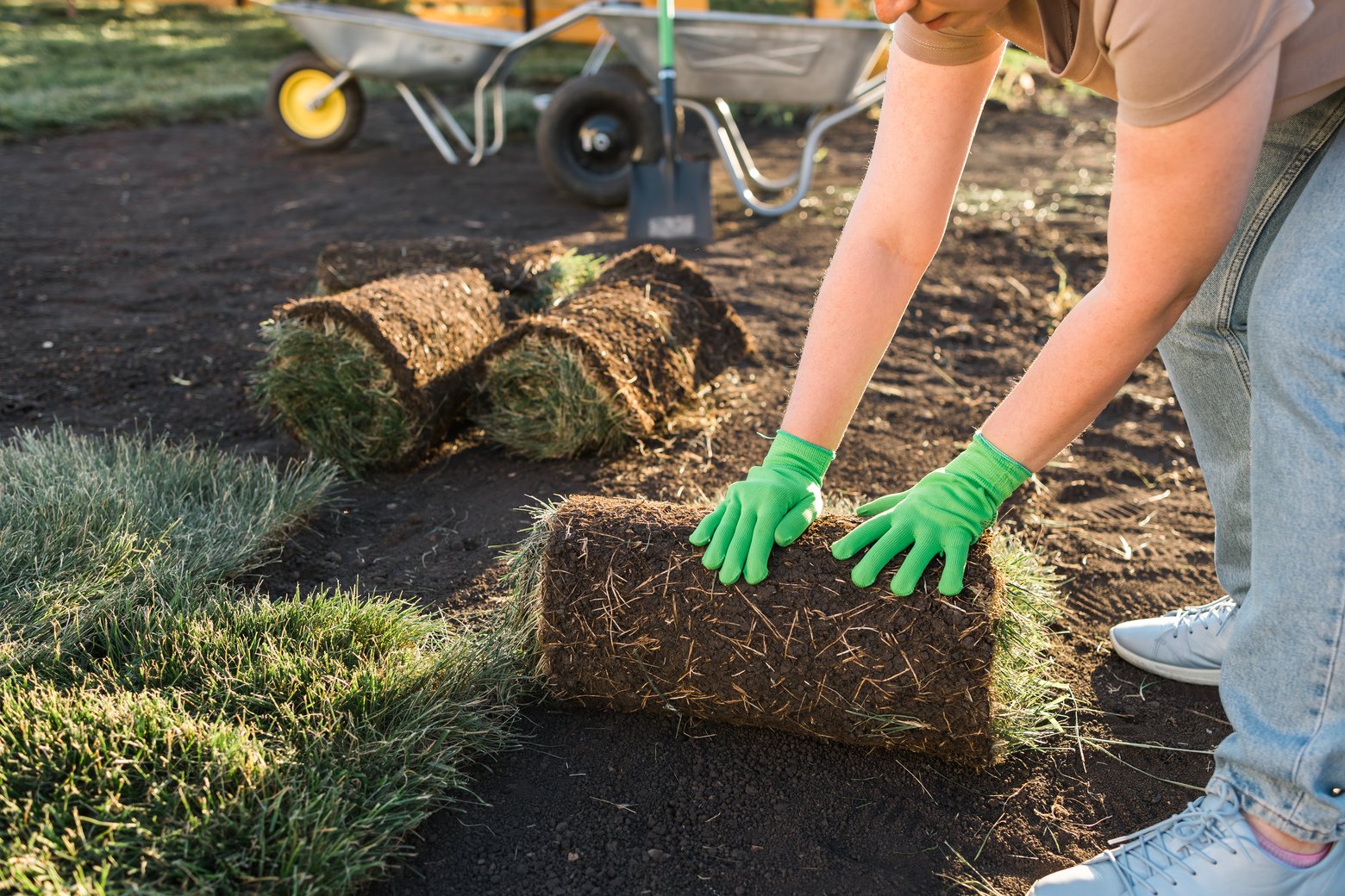 Close up woman laying sod for new garden lawn - turf laying
