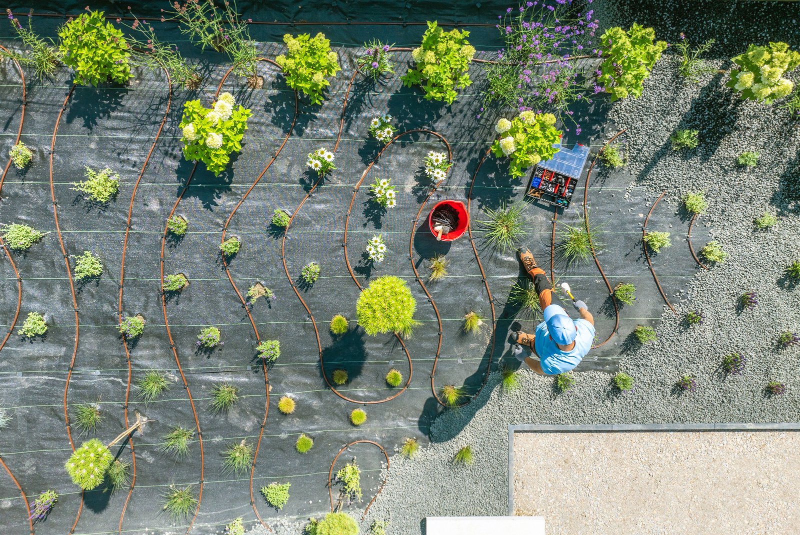 A dedicated gardener works on planting a variety of herbs and shrubs in an organized garden layout. The garden is laid out with stone pathways and protective coverings for the plants, ensuring optimal growth in a vibrant setting under bright sunlight.