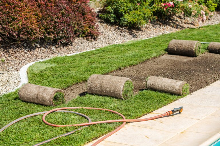 Workers lay down fresh grass rolls in a garden, utilizing hoses for irrigation as sunlight shines brightly on the colorful landscaping.