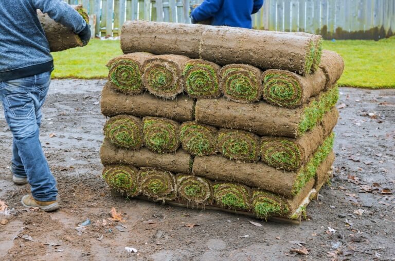 New lawn gardening rolls of fresh grass turf ready to be used