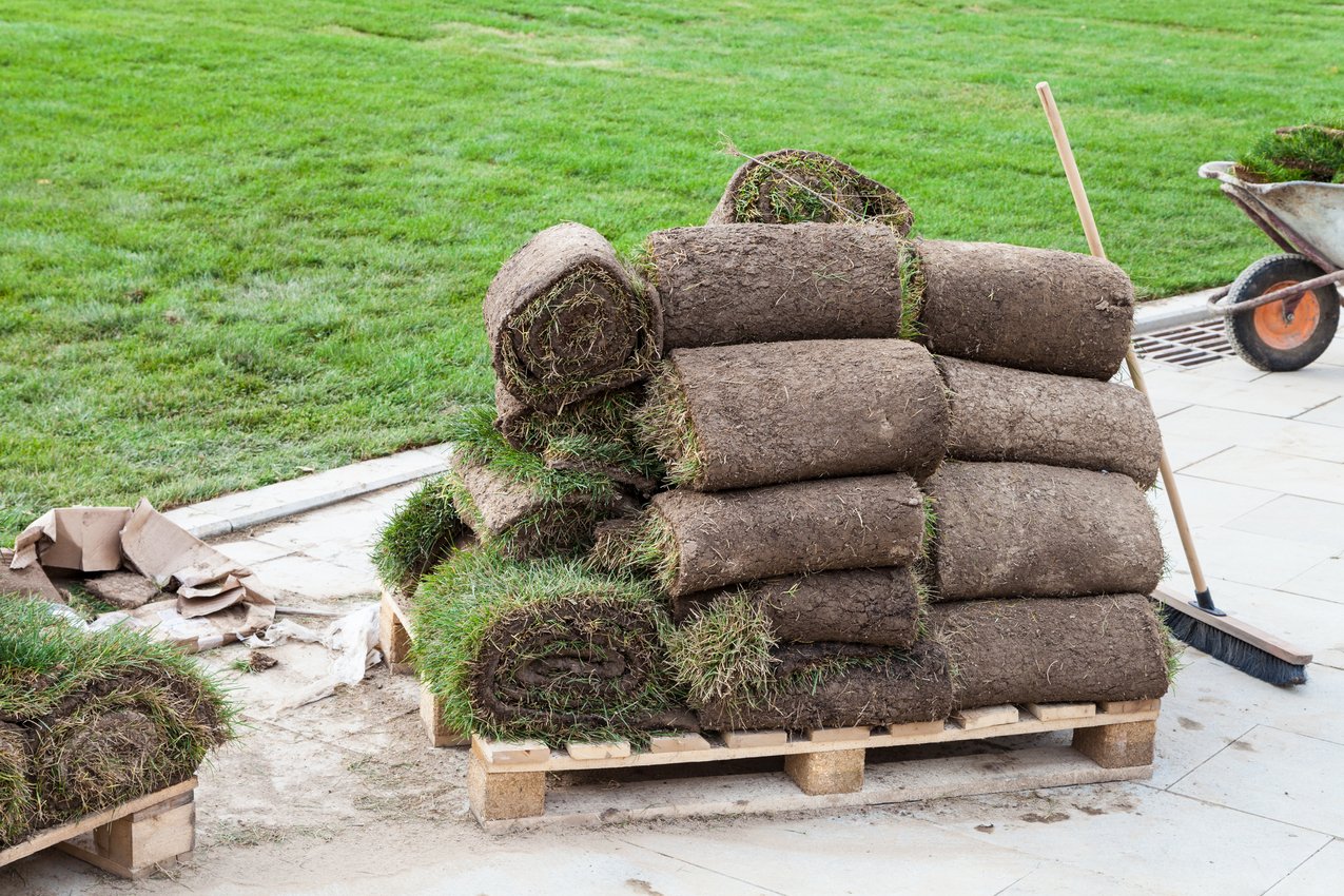 installing a new lawn - pieces of turf on a wooden pallet near green field